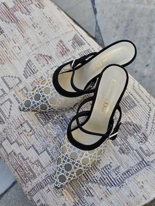 Dior Capture Heeled Mule