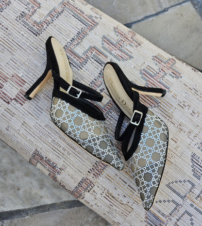 Dior Capture Heeled Mule