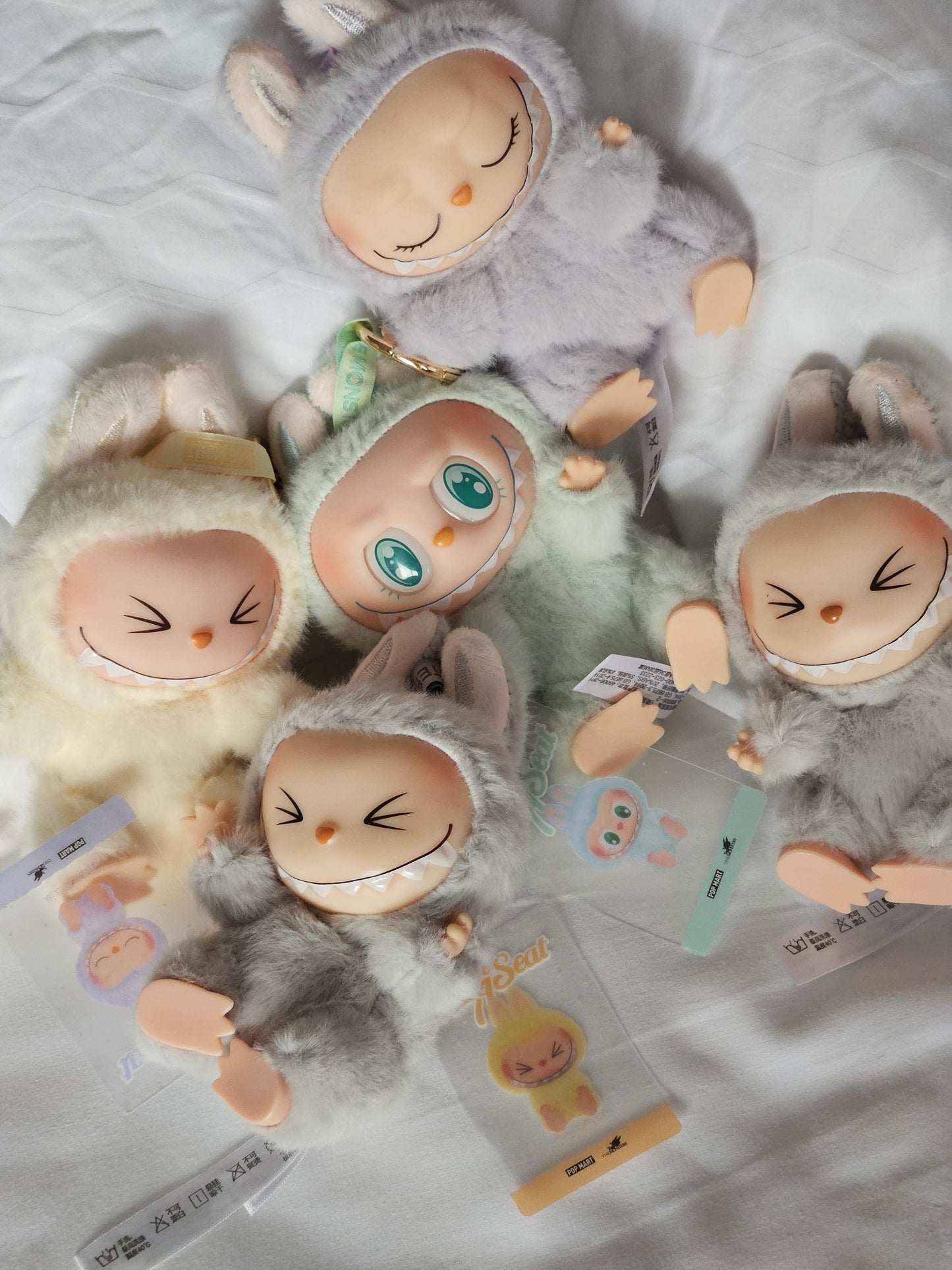 Labubu Blind Single Box